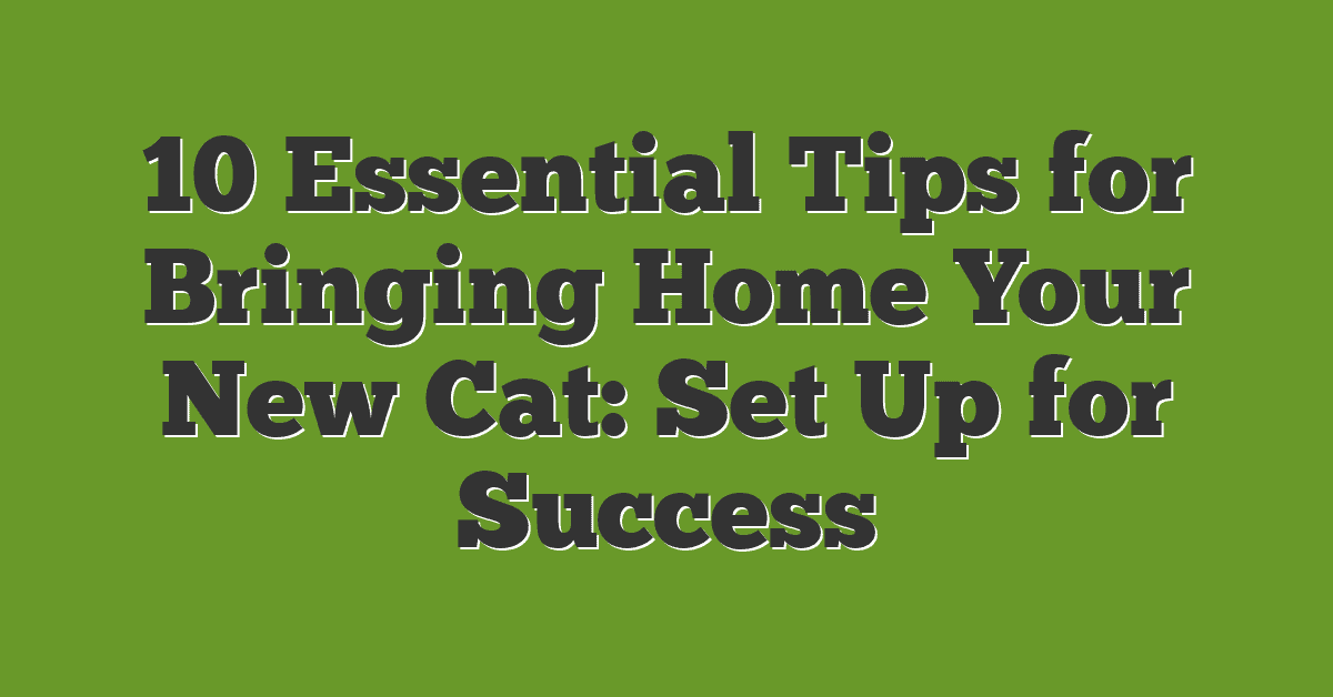 10 Essential Tips for Bringing Home Your New Cat: Set Up for Success