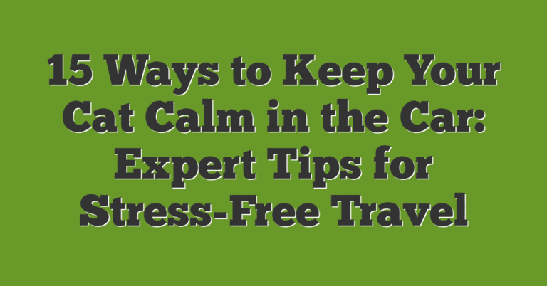 Image showcasing 15 Ways To Keep Your Cat Calm In The Car: Expert Tips For Stress-Free ...
