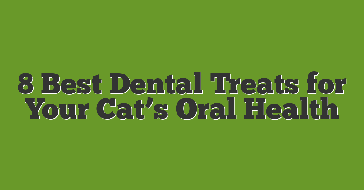 8 Best Dental Treats for Your Cat’s Oral Health