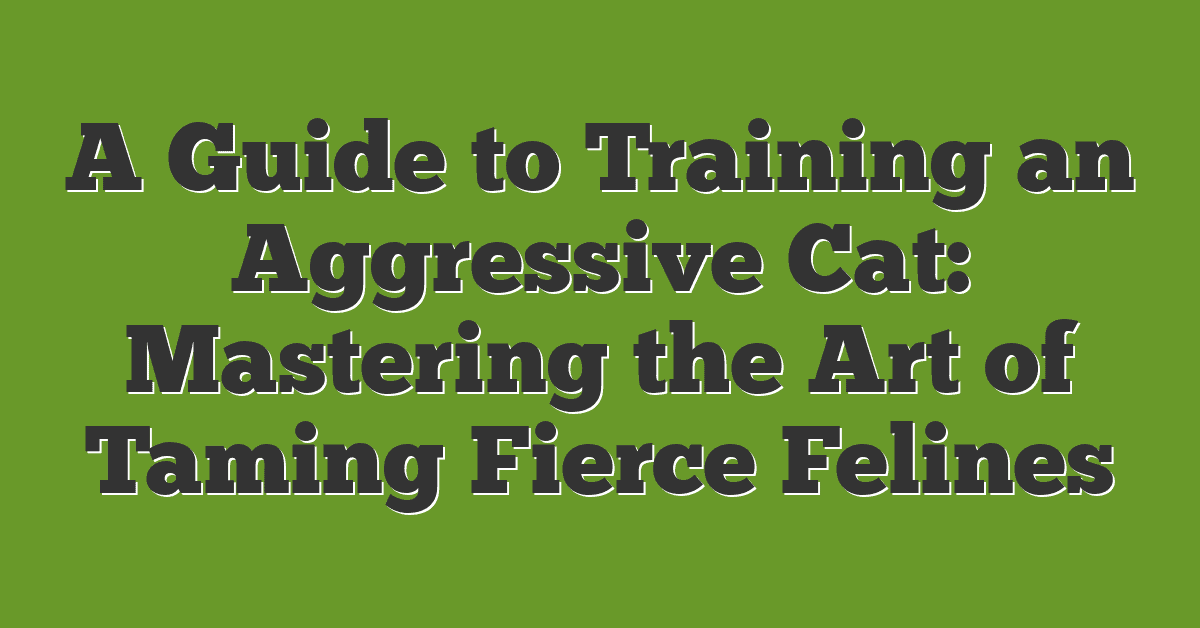 A Guide to Training an Aggressive Cat: Mastering the Art of Taming Fierce Felines