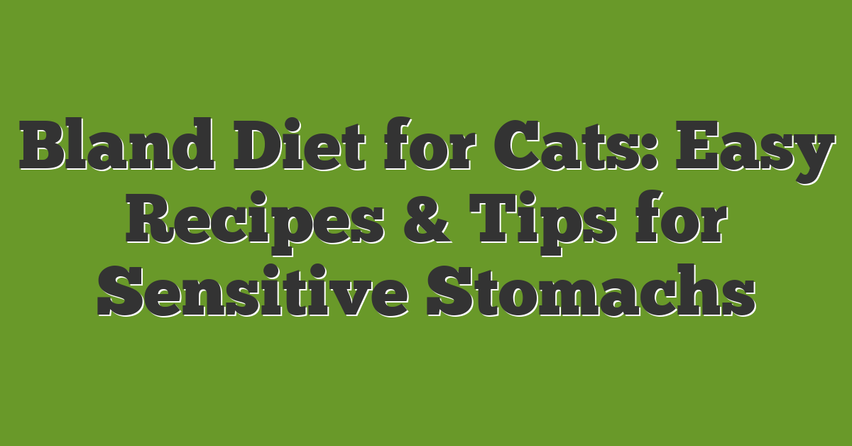 Bland Diet for Cats: Easy Recipes & Tips for Sensitive Stomachs