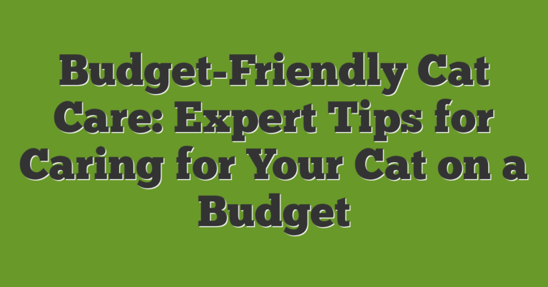 Budget-Friendly Cat Care: Expert Tips For Caring For Your Cat On A Budget