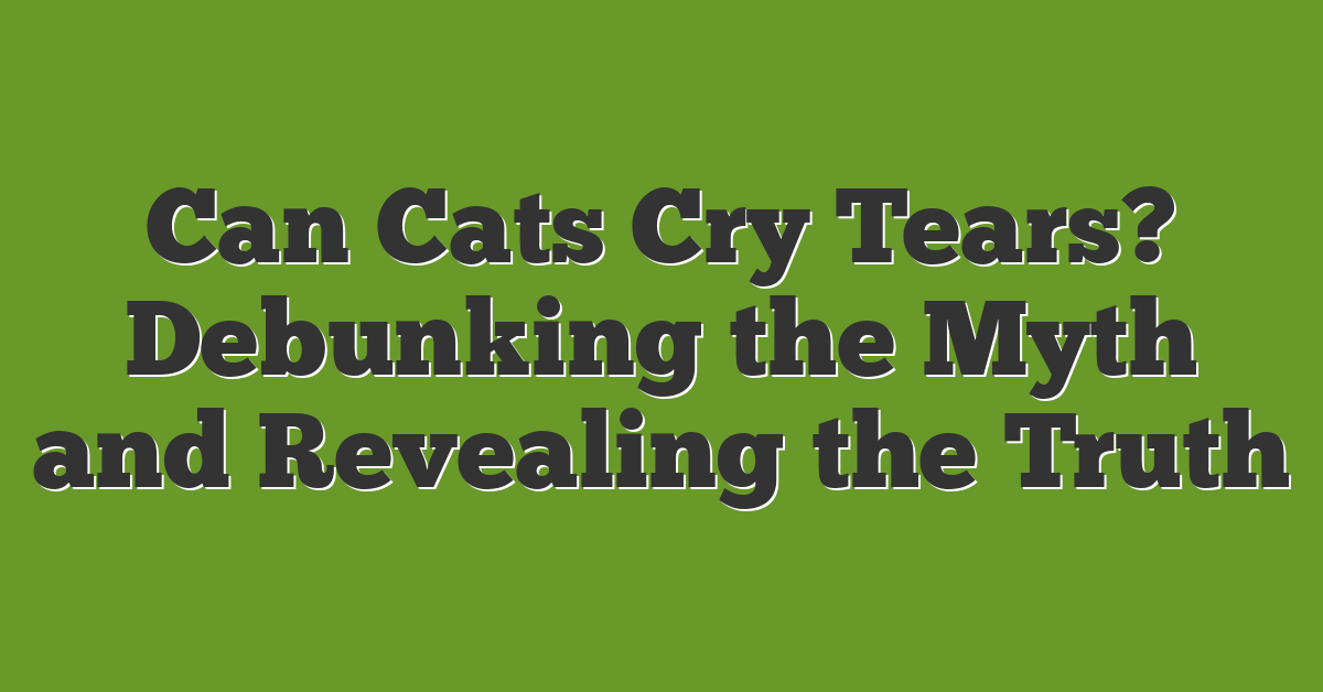 Can Cats Cry Tears? Debunking the Myth and Revealing the Truth