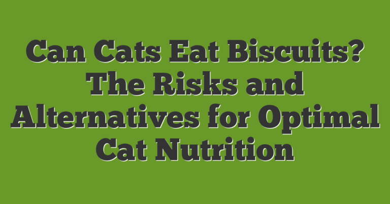 Cat Risk It Human Can Cats Eat Biscuits? The Risks And Alternatives For Optimal Cat Nutrition