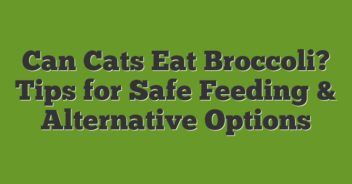 Can Cats Eat Broccoli? Tips for Safe Feeding & Alternative Options