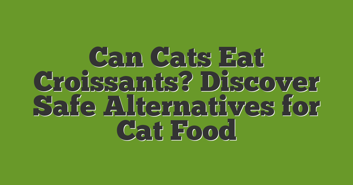 Can Cats Eat Croissants? Discover Safe Alternatives for Cat Food