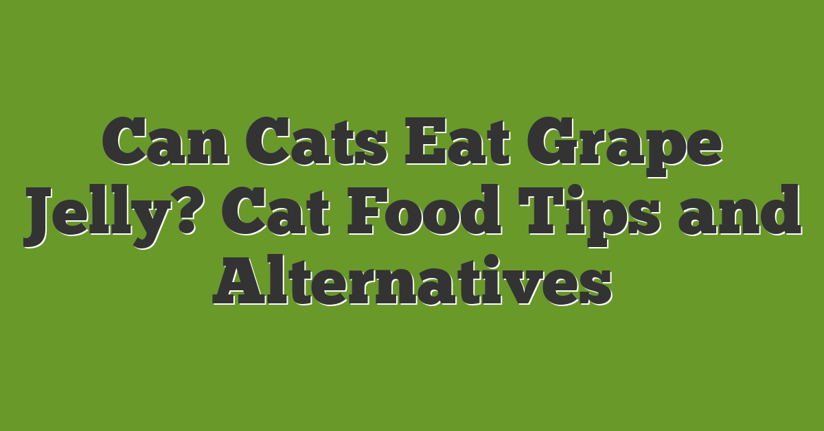 Can Cats Eat Grape Jelly? Cat Food Tips and Alternatives