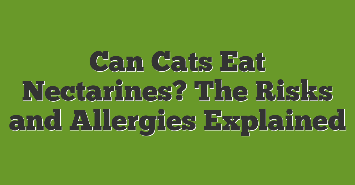 Can Cats Eat Nectarines? The Risks and Allergies Explained