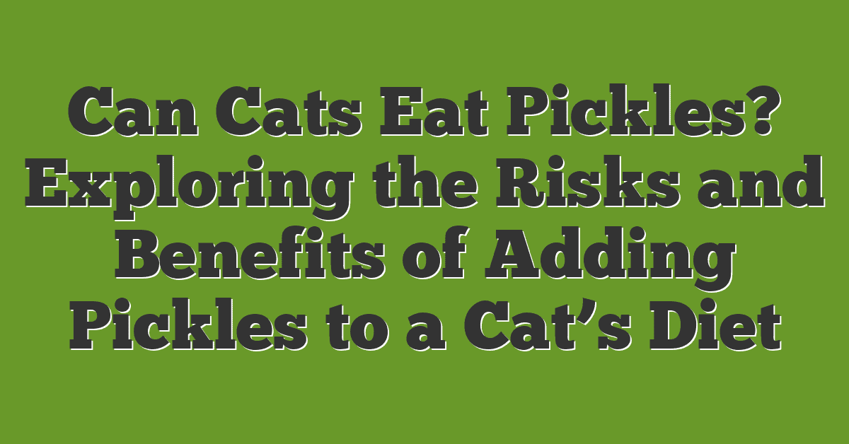 Can Cats Eat Pickles? Exploring the Risks and Benefits of Adding Pickles to a Cat’s Diet