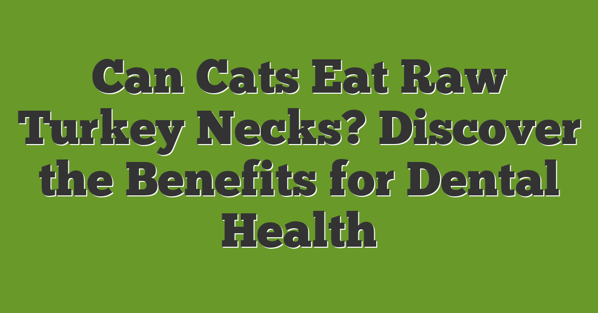 Can Cats Eat Raw Turkey Necks? Discover the Benefits for Dental Health