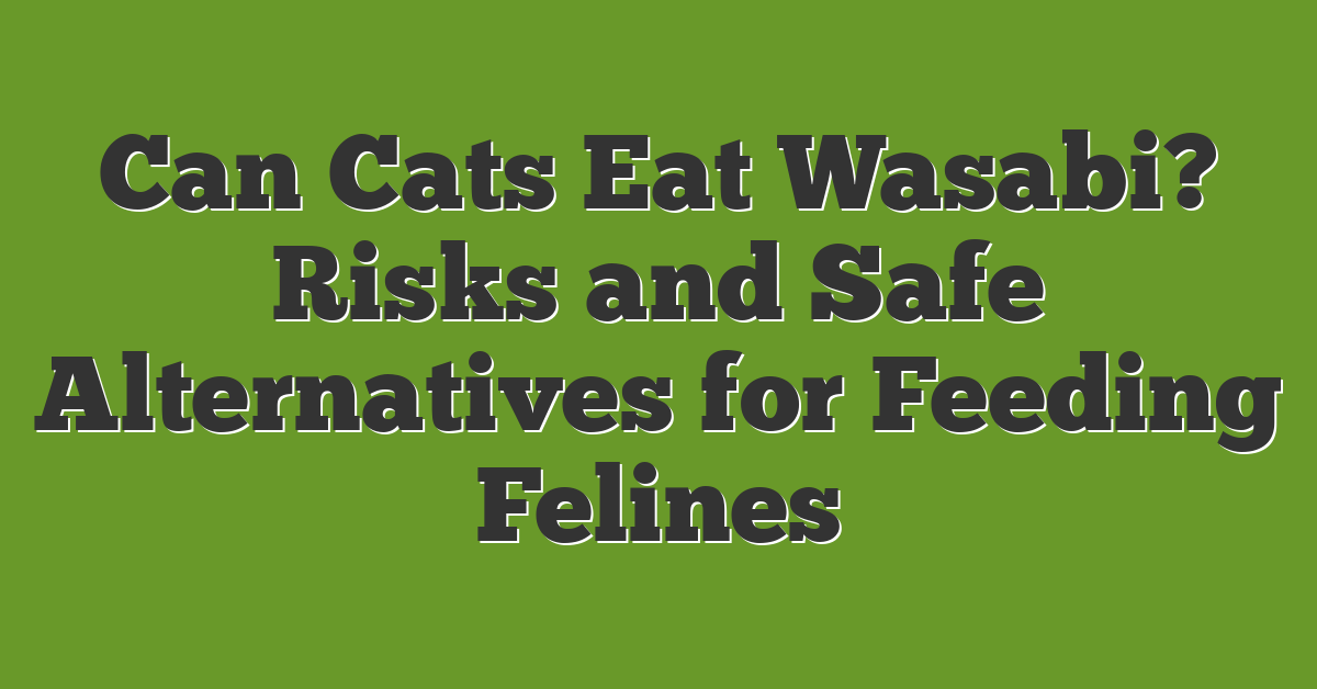 Can Cats Eat Wasabi? Risks and Safe Alternatives for Feeding Felines