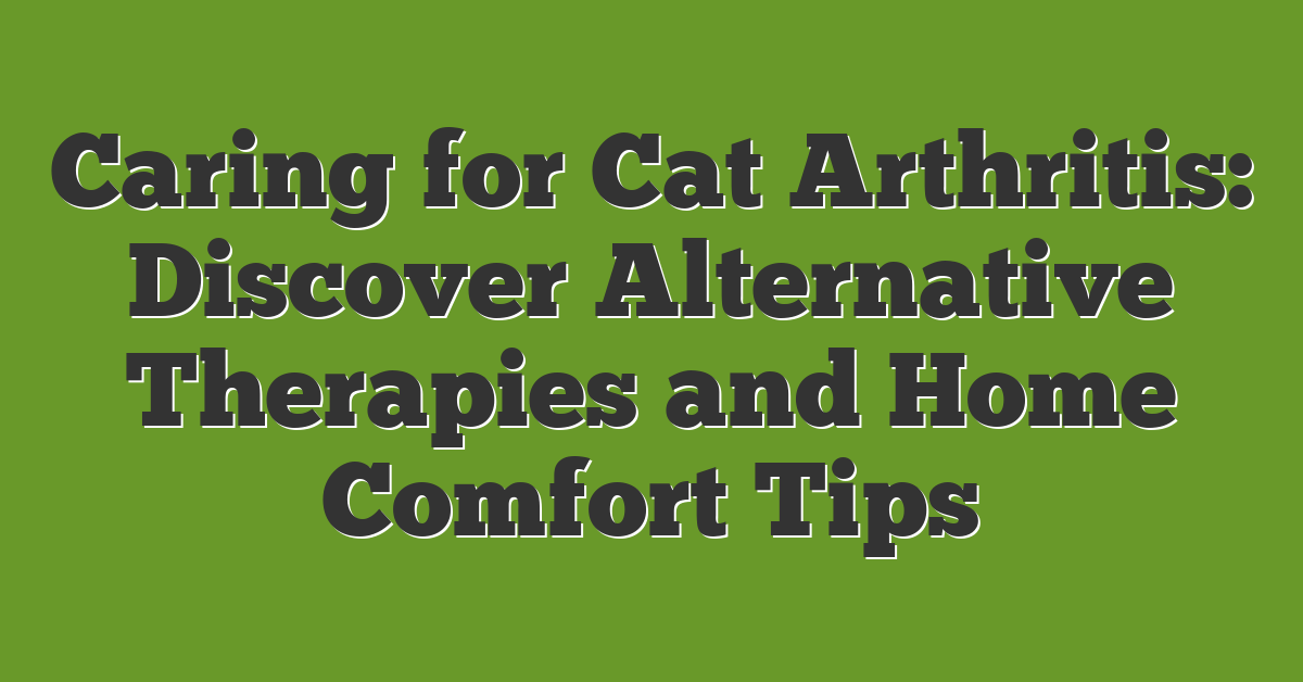 Caring for Cat Arthritis: Discover Alternative Therapies and Home Comfort Tips