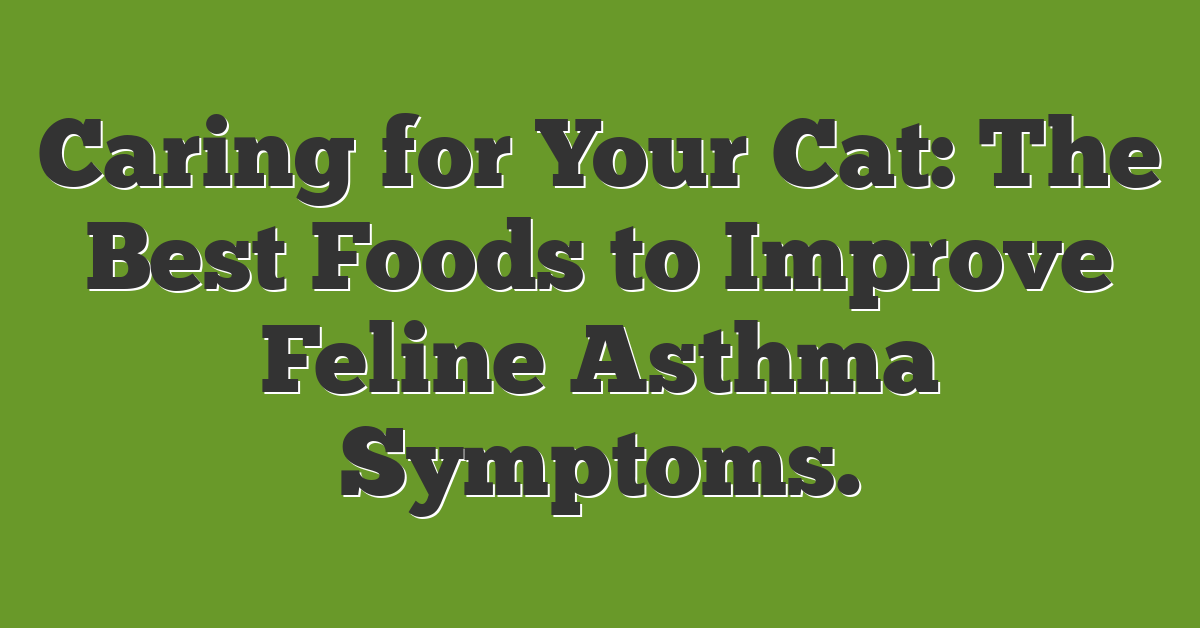 Caring for Your Cat: The Best Foods to Improve Feline Asthma Symptoms.