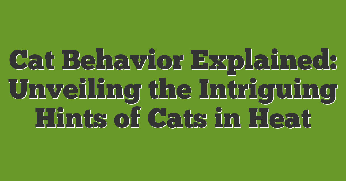 Cat Behavior Explained: Unveiling the Intriguing Hints of Cats in Heat