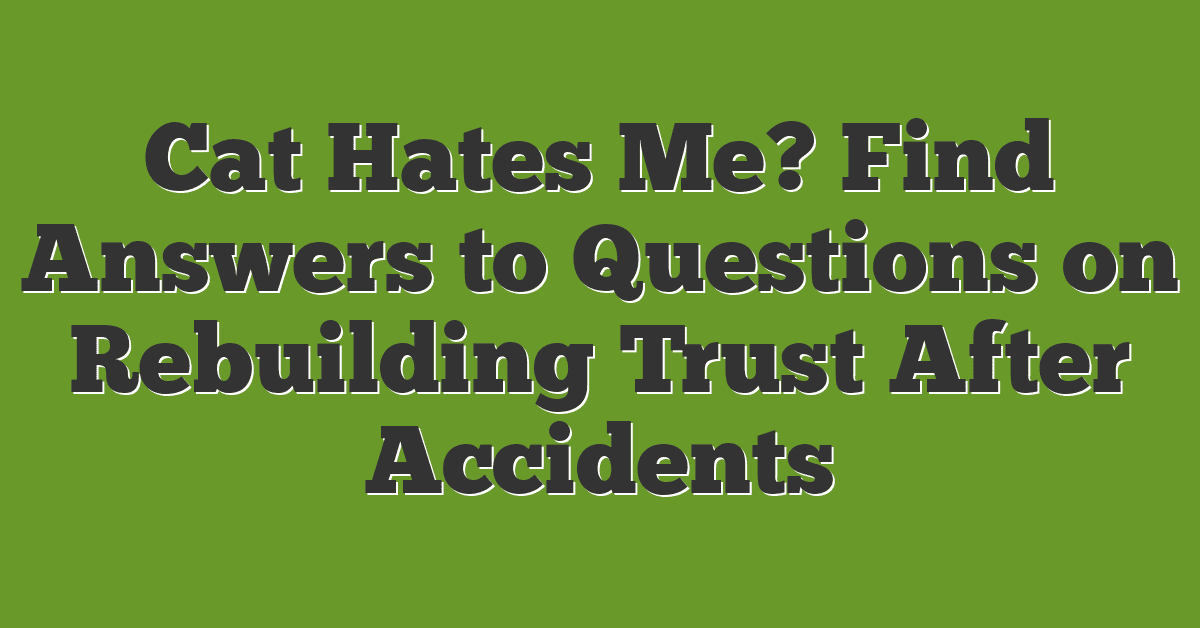 Cat Hates Me? Find Answers to Questions on Rebuilding Trust After Accidents