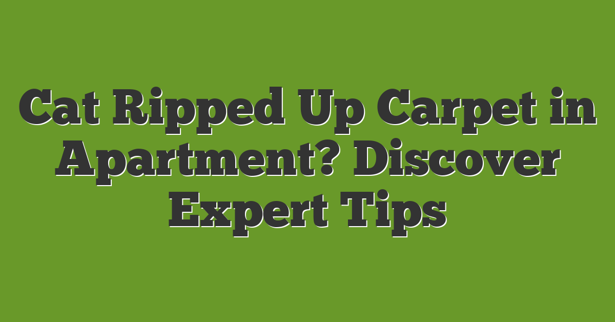 Cat Ripped Up Carpet in Apartment? Discover Expert Tips