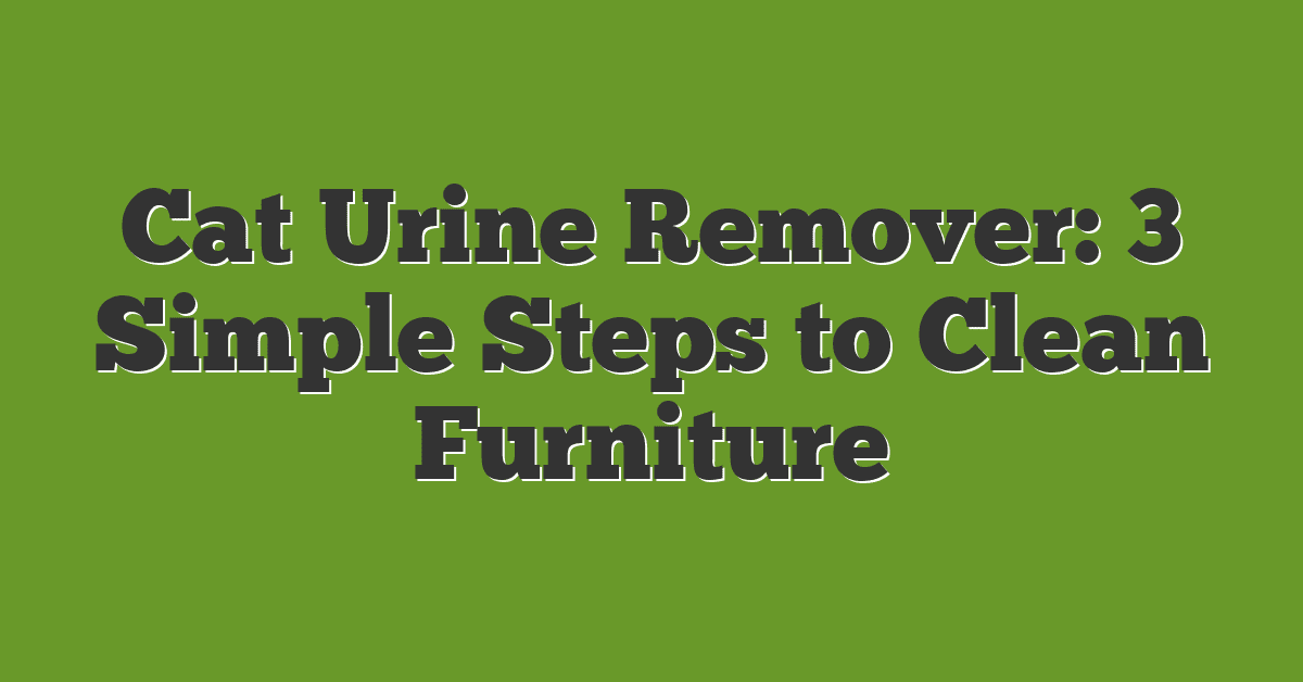 Cat Urine Remover: 3 Simple Steps to Clean Furniture