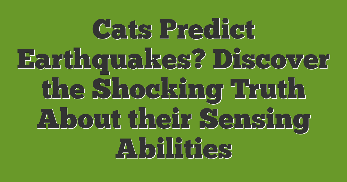 Cats Predict Earthquakes? Discover the Shocking Truth About their Sensing Abilities