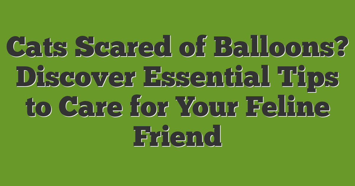 Cats Scared of Balloons? Discover Essential Tips to Care for Your Feline Friend