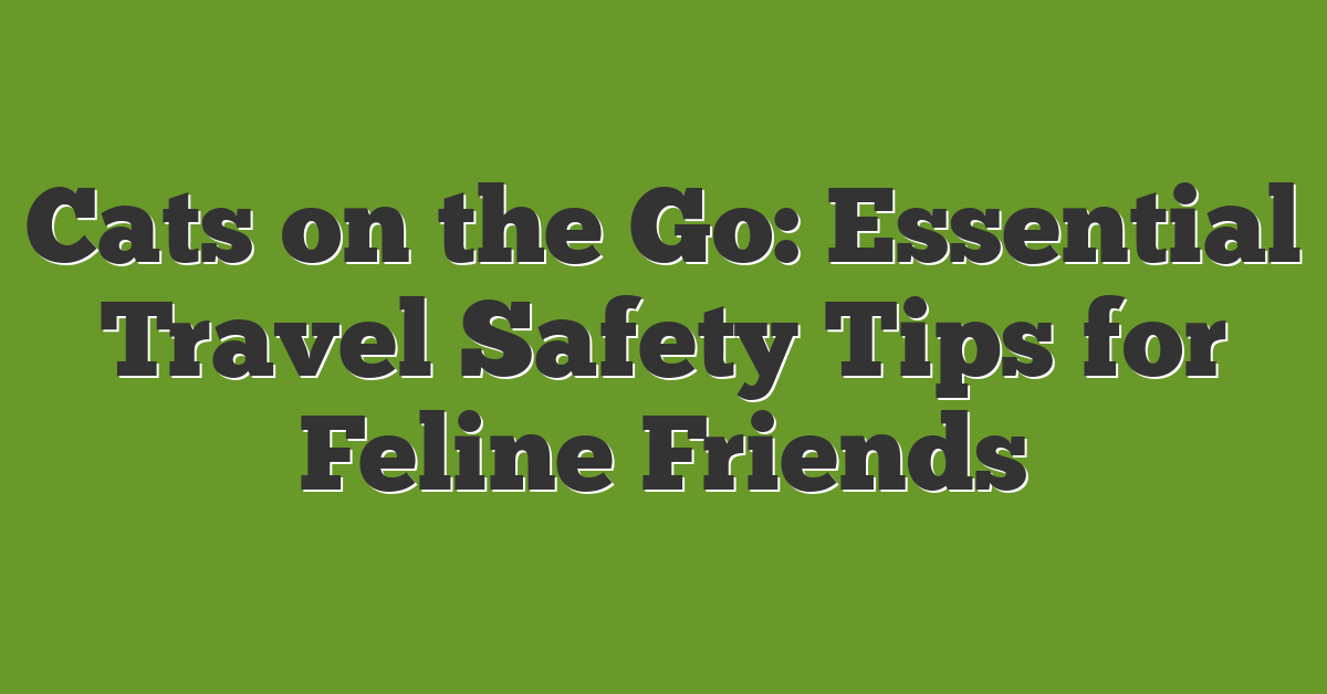 Cats on the Go: Essential Travel Safety Tips for Feline Friends