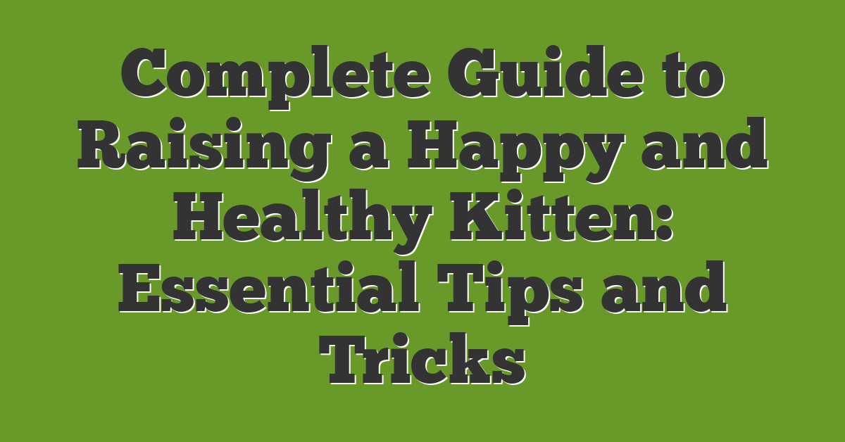 Complete Guide to Raising a Happy and Healthy Kitten: Essential Tips and Tricks