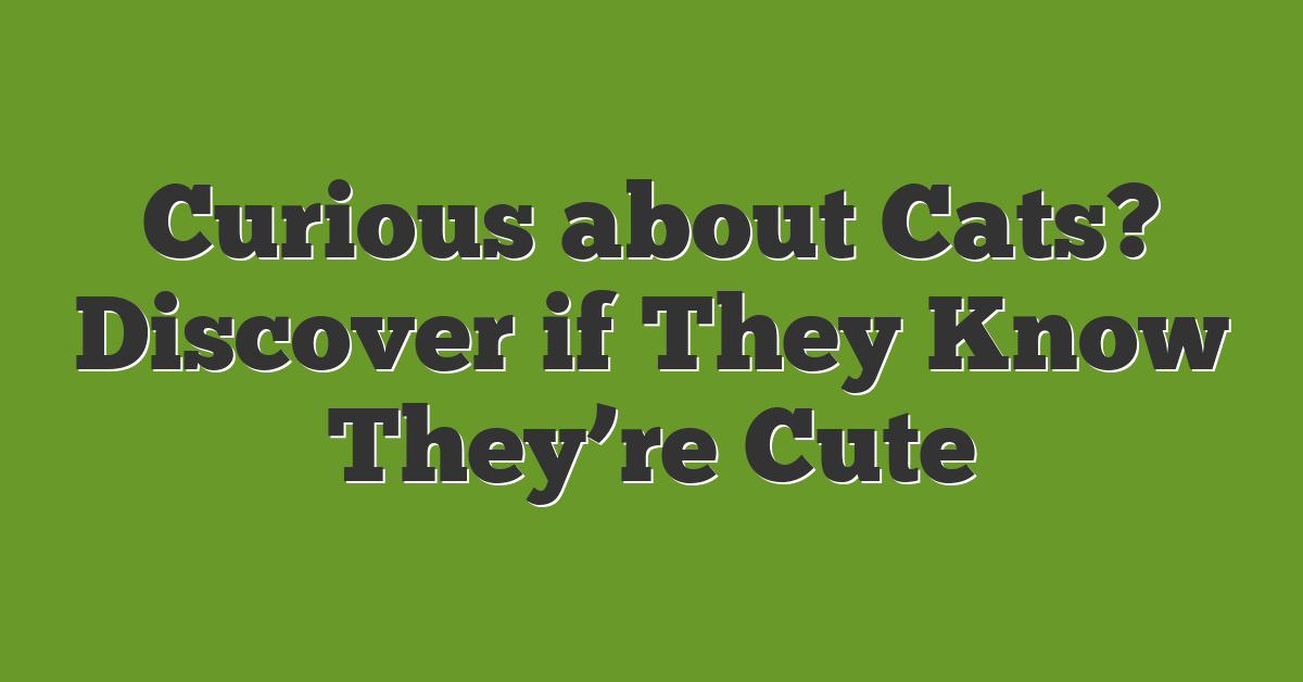 Curious about Cats? Discover if They Know They’re Cute