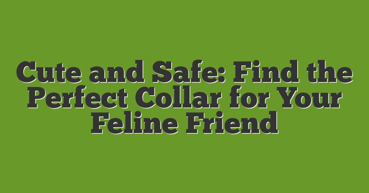 Cute and Safe: Find the Perfect Collar for Your Feline Friend