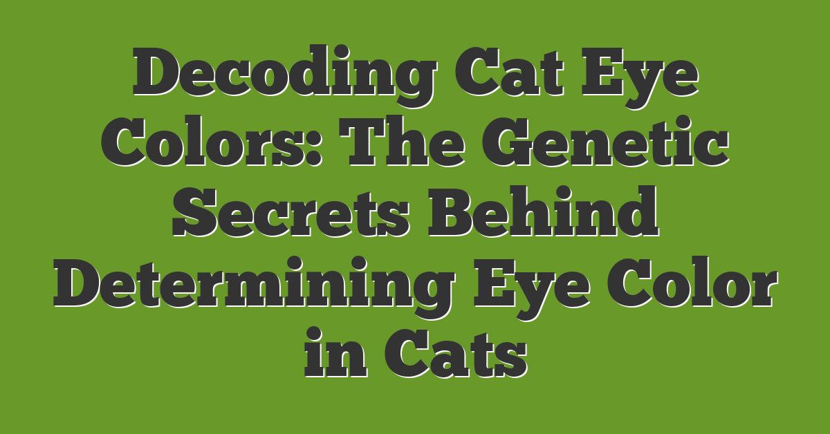 Decoding Cat Eye Colors: The Genetic Secrets Behind Determining Eye Color in Cats