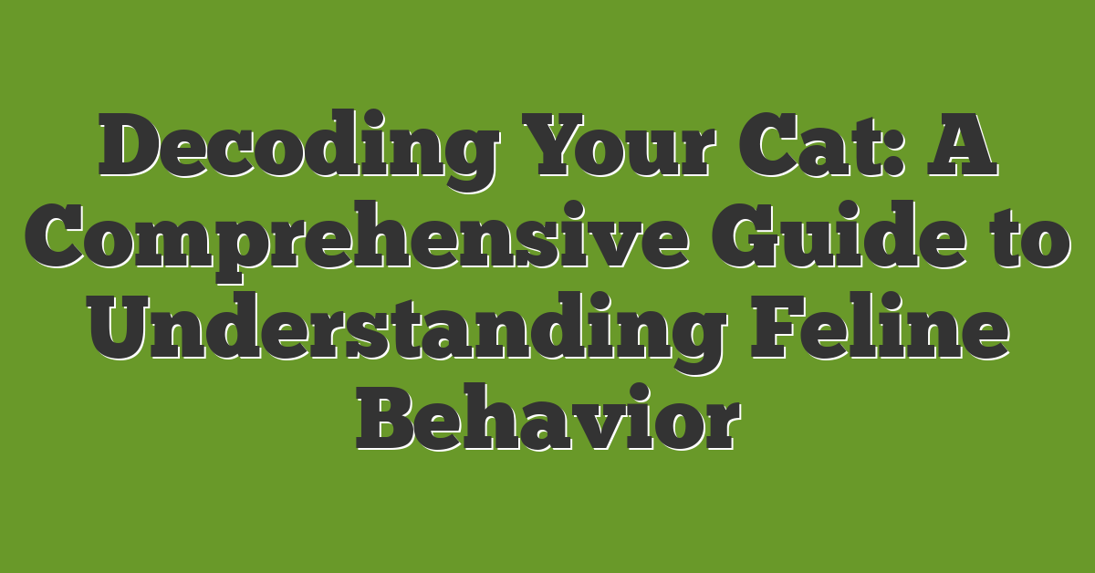 Decoding Your Cat: A Comprehensive Guide to Understanding Feline Behavior