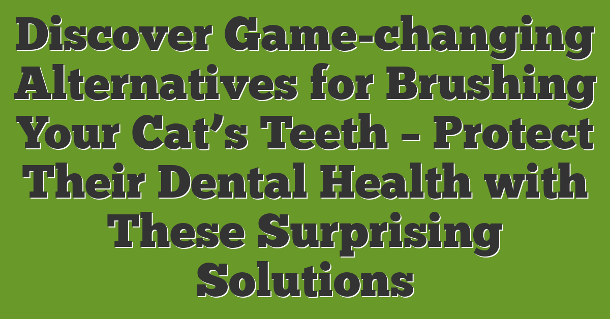 Discover Game-changing Alternatives for Brushing Your Cat’s Teeth – Protect Their Dental Health with These Surprising Solutions