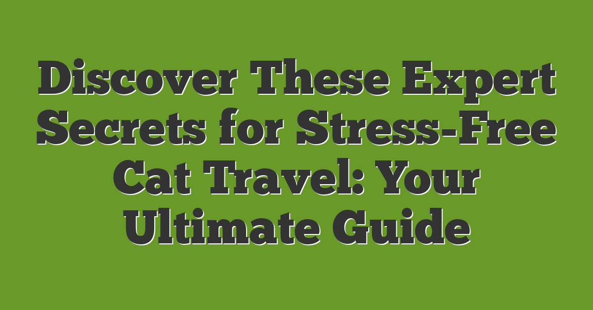 Discover These Expert Secrets for Stress-Free Cat Travel: Your Ultimate Guide