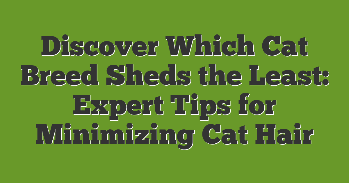 Discover Which Cat Breed Sheds the Least: Expert Tips for Minimizing Cat Hair