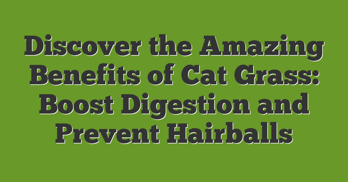 Discover the Amazing Benefits of Cat Grass: Boost Digestion and Prevent Hairballs