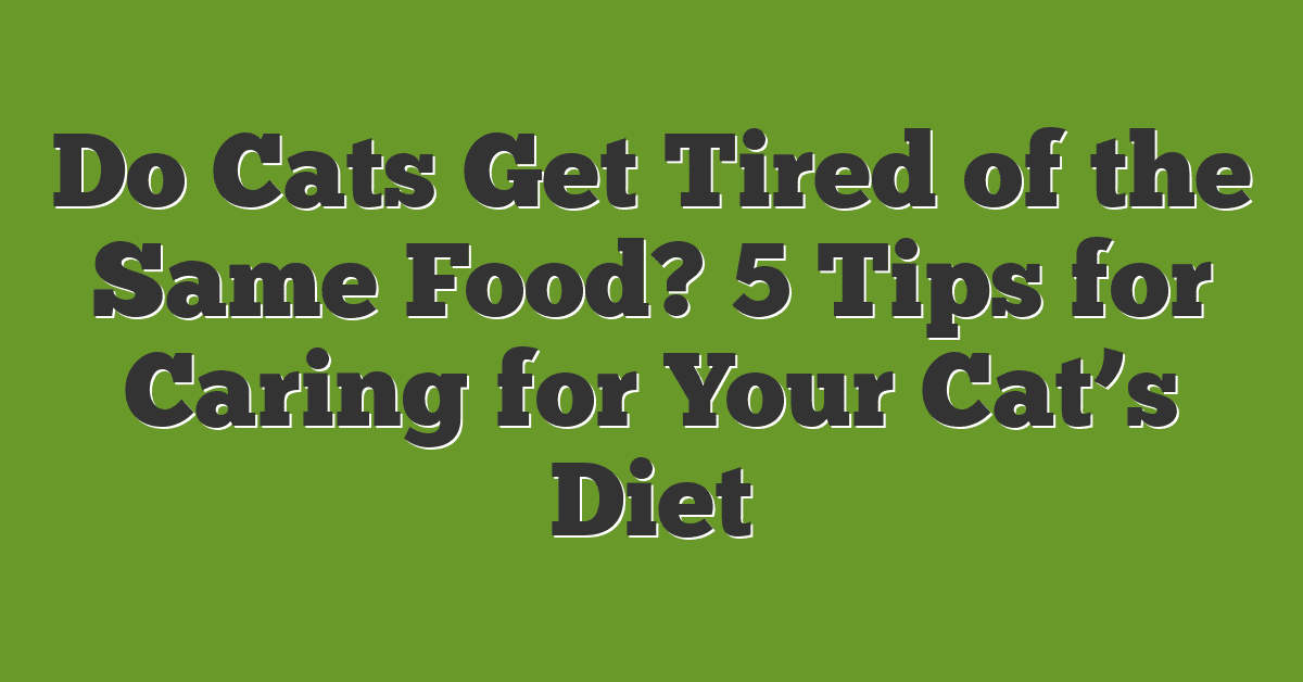 Do Cats Get Tired of the Same Food? 5 Tips for Caring for Your Cat’s Diet
