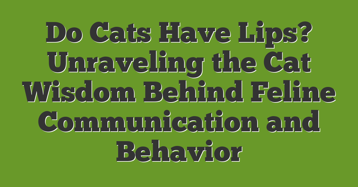 Do Cats Have Lips? Unraveling the Cat Wisdom Behind Feline Communication and Behavior