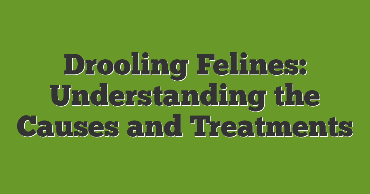 Drooling Felines: Understanding the Causes and Treatments