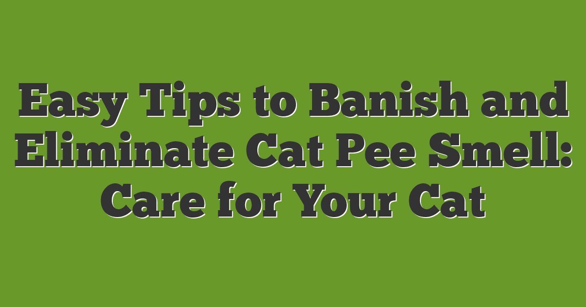 Easy Tips to Banish and Eliminate Cat Pee Smell: Care for Your Cat