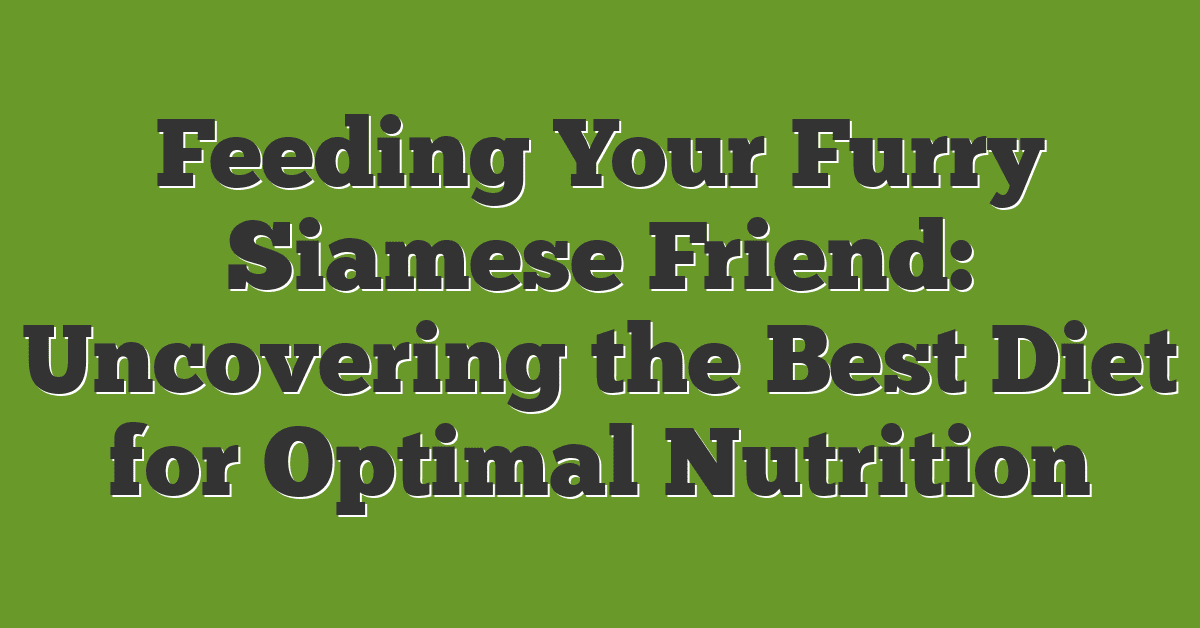 Feeding Your Furry Siamese Friend: Uncovering the Best Diet for Optimal Nutrition