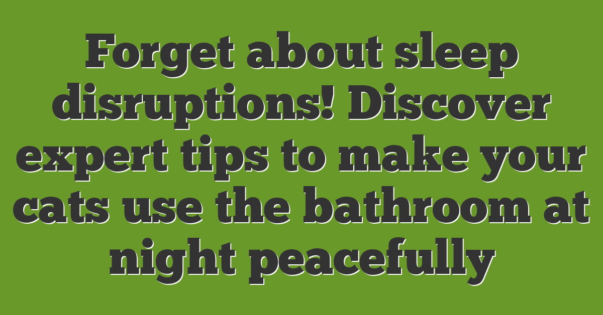 Forget about sleep disruptions! Discover expert tips to make your cats use the bathroom at night peacefully