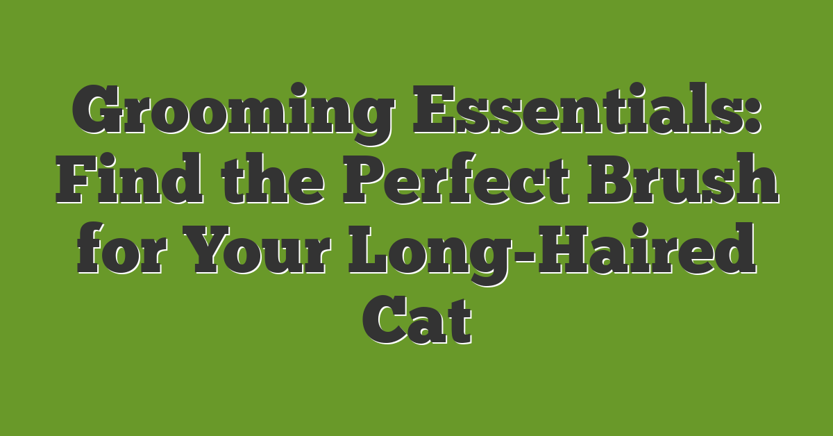 Grooming Essentials: Find the Perfect Brush for Your Long-Haired Cat