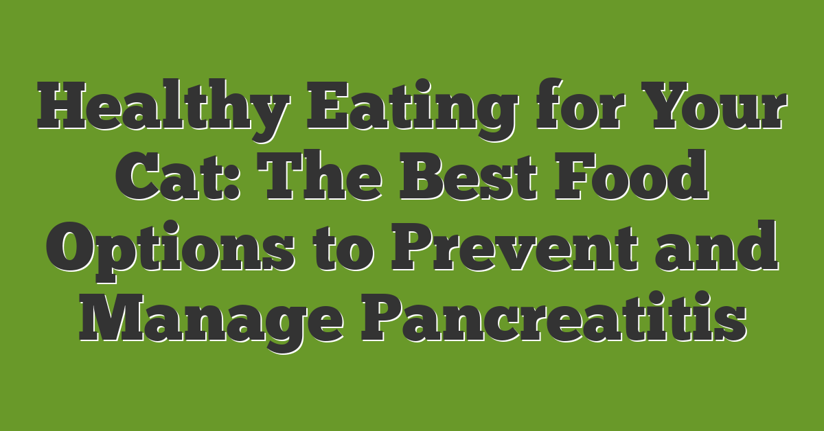 Healthy Eating for Your Cat: The Best Food Options to Prevent and Manage Pancreatitis