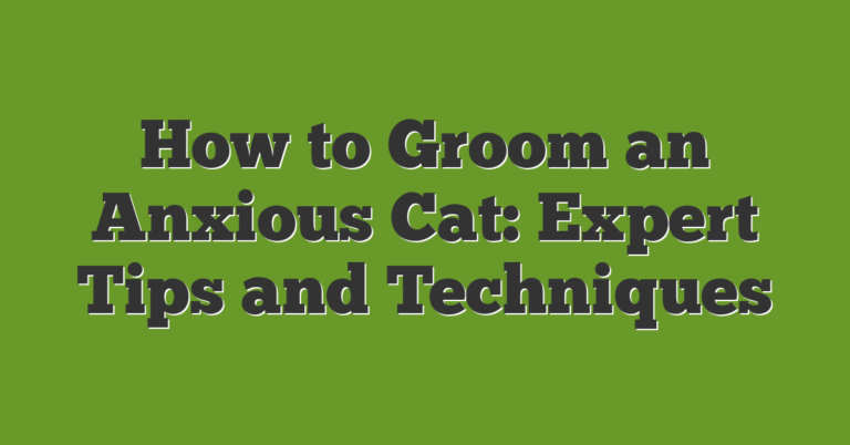 Photo inspiration: Picture Idea: How To Groom An Anxious Cat Expert Tips And Techniques