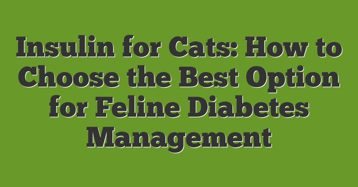 Insulin for Cats: How to Choose the Best Option for Feline Diabetes Management