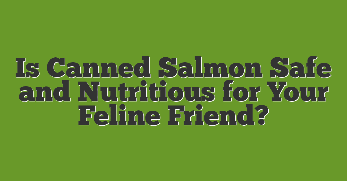 Is Canned Salmon Safe and Nutritious for Your Feline Friend?