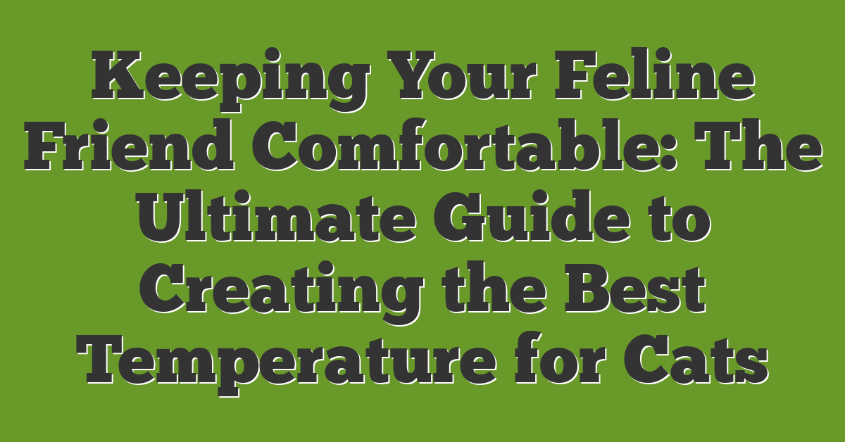 Keeping Your Feline Friend Comfortable: The Ultimate Guide to Creating the Best Temperature for Cats