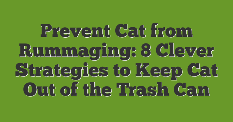 Garbage Cat Prevent Cat From Rummaging: 8 Clever Strategies To Keep Cat Out Of The ...