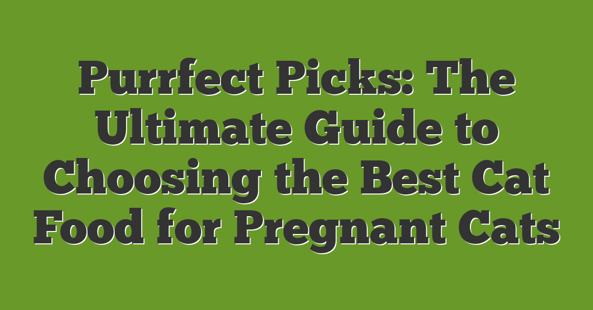 Purrfect Picks: The Ultimate Guide to Choosing the Best Cat Food for Pregnant Cats