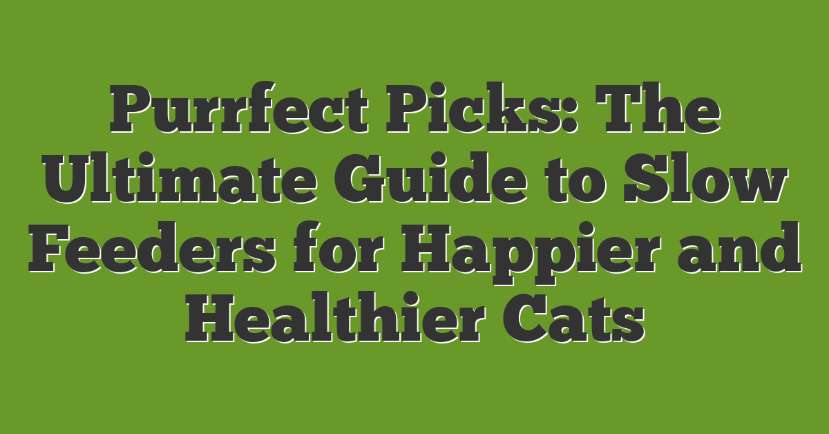 Purrfect Picks: The Ultimate Guide to Slow Feeders for Happier and Healthier Cats