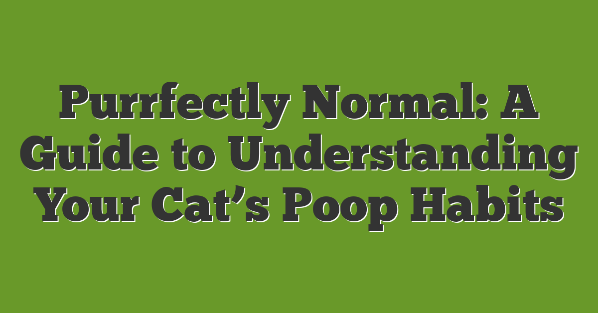 Purrfectly Normal: A Guide to Understanding Your Cat’s Poop Habits