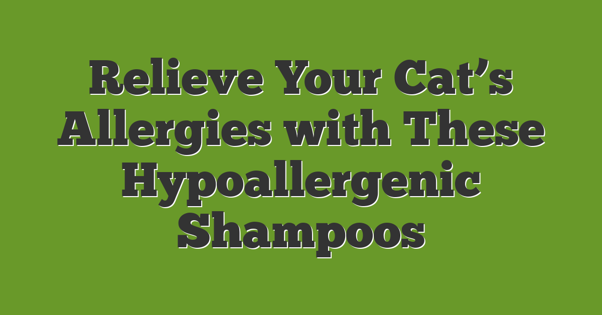 Relieve Your Cat’s Allergies with These Hypoallergenic Shampoos